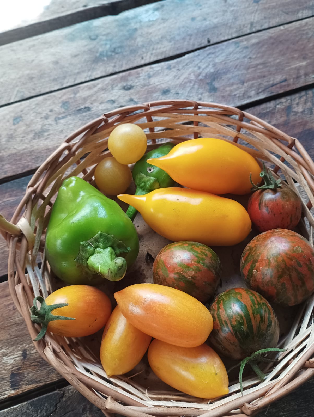 Cosecha de verano
