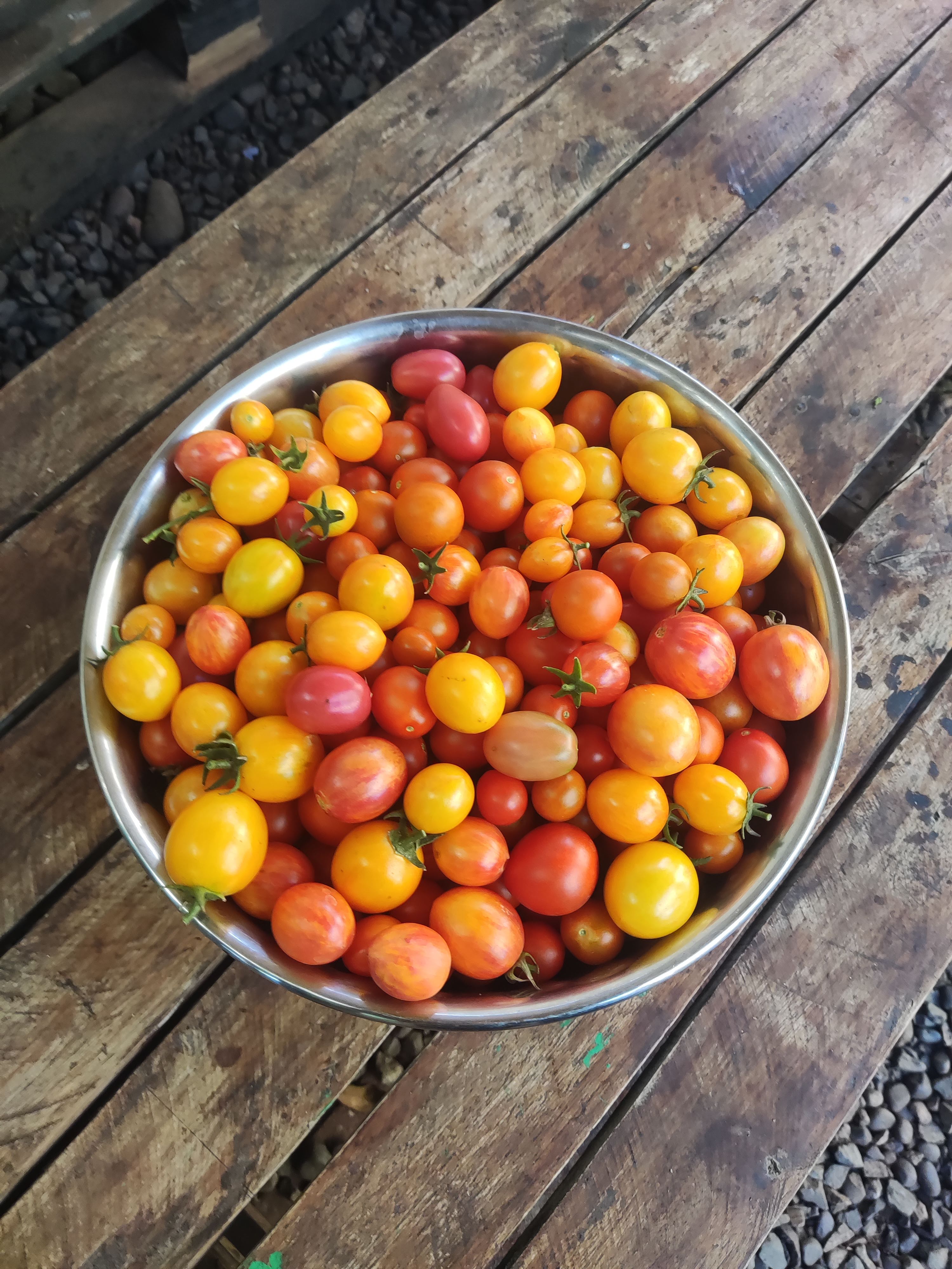 Tomates cherry