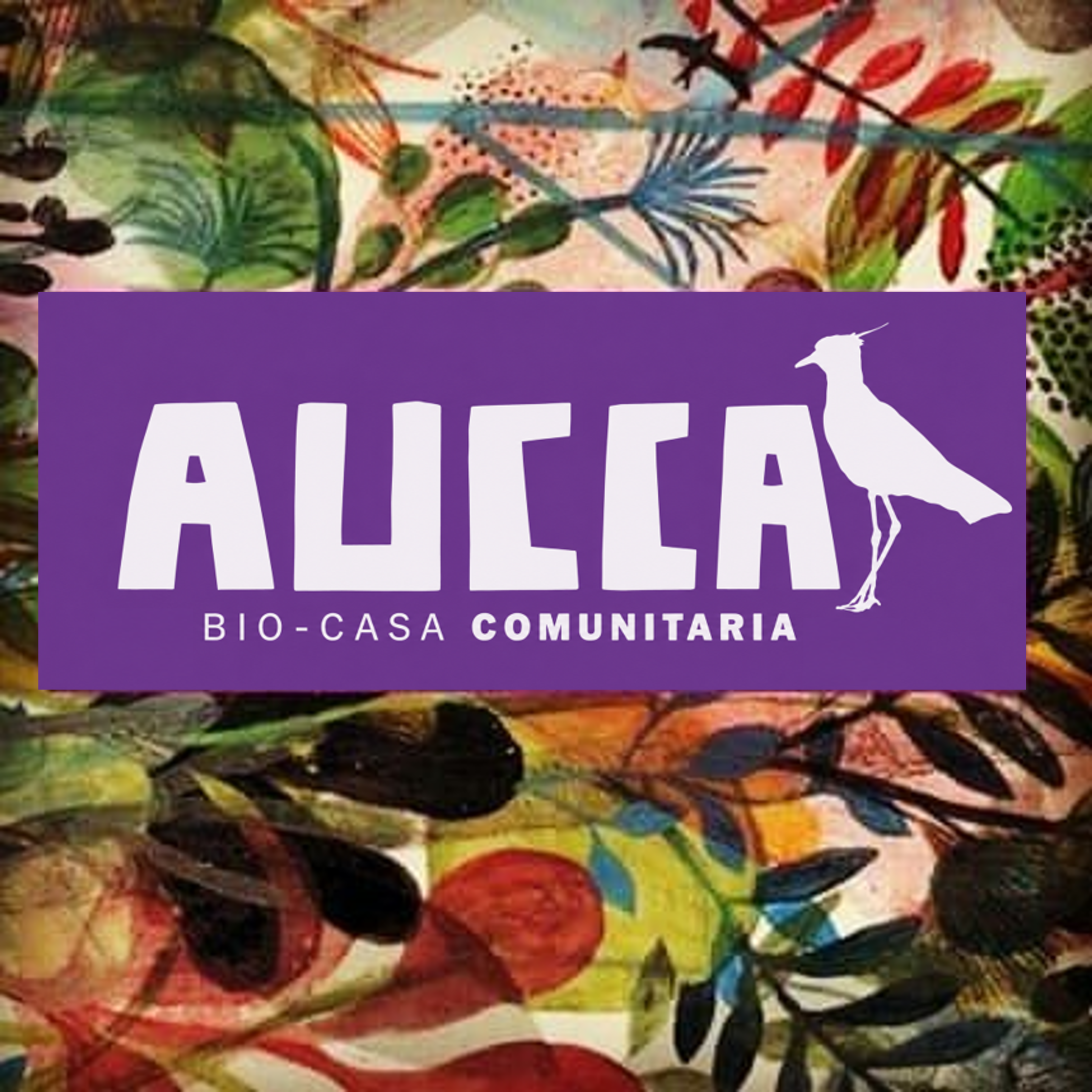 Aucca en Instagram
