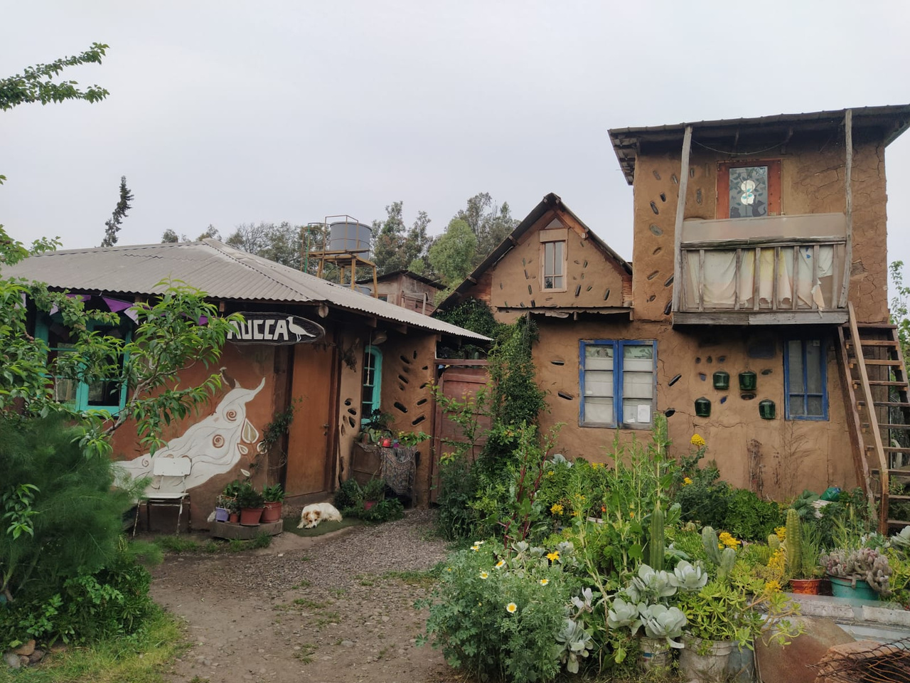 Vista desde el espino